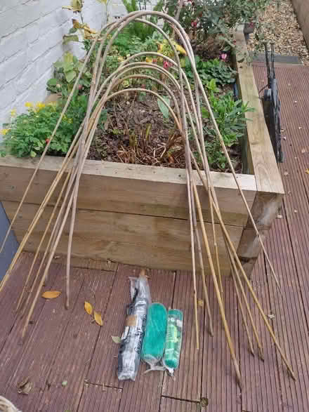 Photo of free Canes and Netting (Old Town TN40) #1