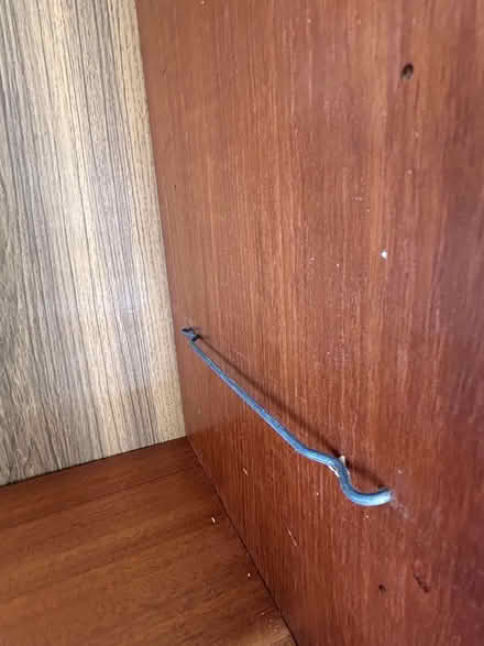 Photo of free Wood Veneer Shelf Cabinet (East Cambridge) #3