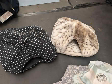 Photo of free 2 cat pyramid beds (Brooklands LU7) #1