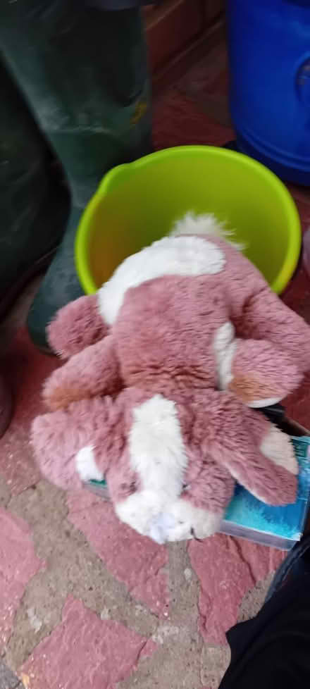 Photo of free Hush Doggie Toy - well loved (Baldock, SG7) #2