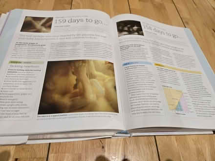 Photo of free christmas pressie lot 5 big useful pregnancy new mum book (Rochester ME1) #1