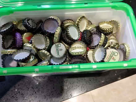 Photo of free Beer bottle crown cork caps. (Greenhill S8) #1