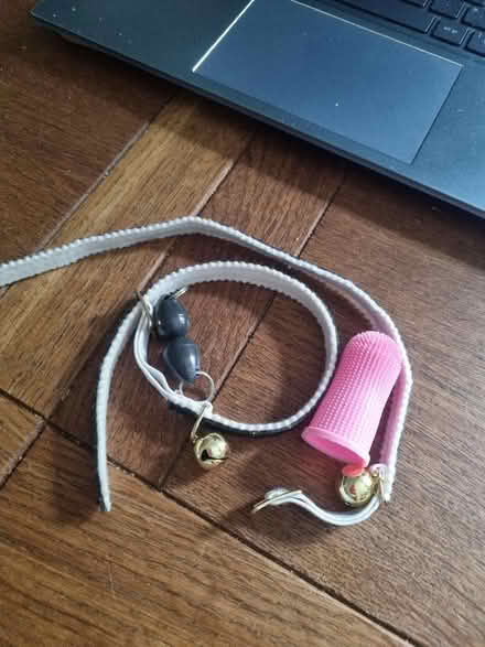 Photo of free Cat bits (Coldean BN1) #1