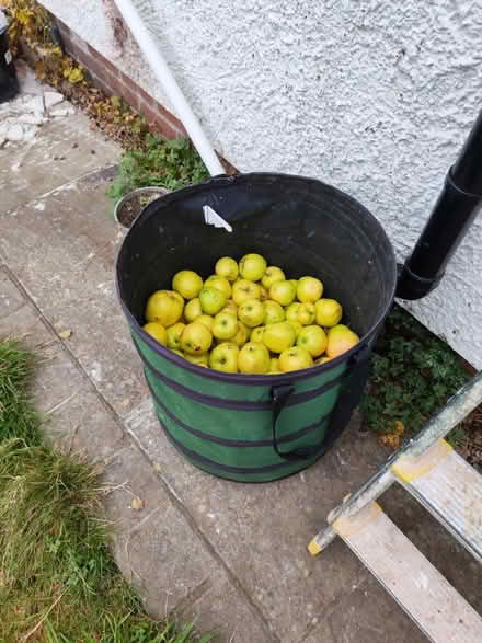 Photo of free Huge Tub of Apples (Greasby) #1