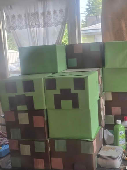 Photo of free Minecraft decorations (Des Plaines il) #3