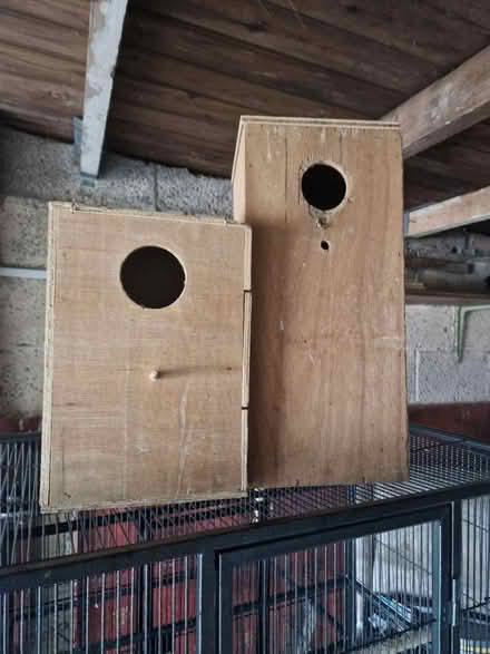 Photo of free Nest boxes (BS39) #1
