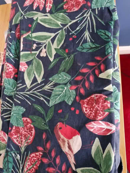 Photo of free Festive double duvet cover and 2 pillows. (IP2) #1