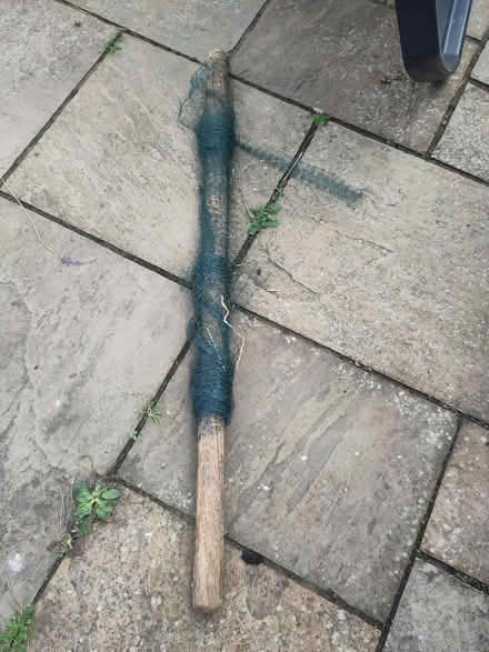 Photo of free Garden netting (Bexhill old town, TN40) #1