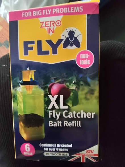 Photo of free XL fly catcher bait (Norwich) #1