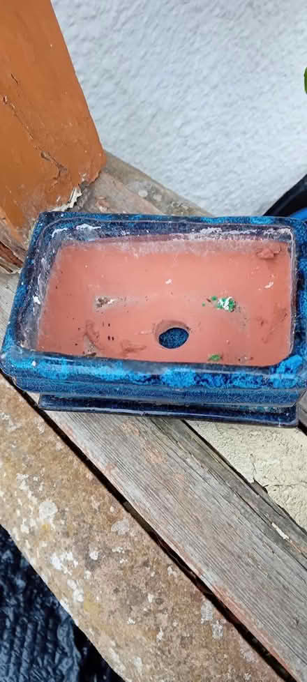 Photo of free Small Bonsai Dish and Tray (Baldock, SG7) #2