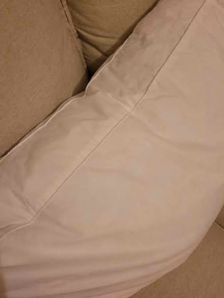 Photo of free 2 pillows (Bridge of Allan FK9) #3