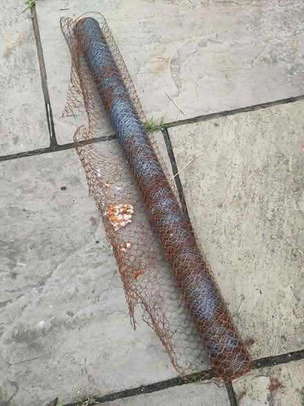 Photo of free Chicken wire (Bexhill old town, TN40) #1