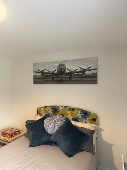 Photo of free Airplane Picture (Bassaleg NP10 8BS) #2