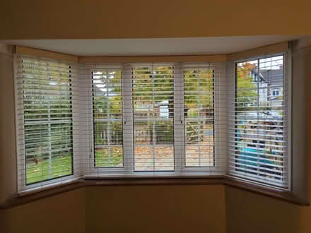 Photo of free 3x White/Cream 50mm Wooden Blinds (Saltney CH4) #1