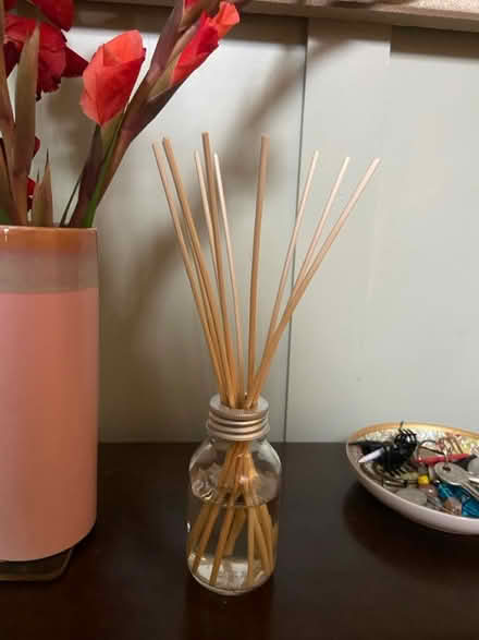 Photo of free Fresh Eucalyptus diffuser sticks (S8 Beauchief) #1