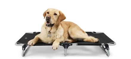 Photo of Dog cots (Hazel Dell) #1