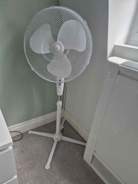 Photo of free Standing fan (Tunbridge wells) #1