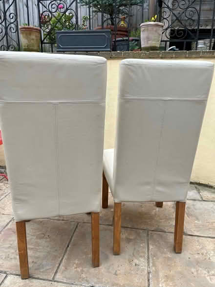 Photo of free Dining chairs (Kingsway) #4