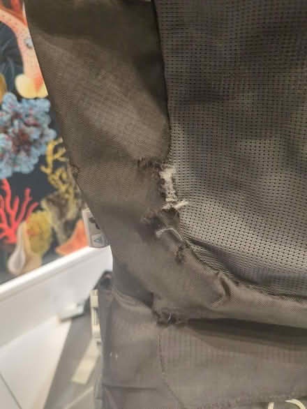 Photo of free Osprey child carrier (West Wickham BR4) #3