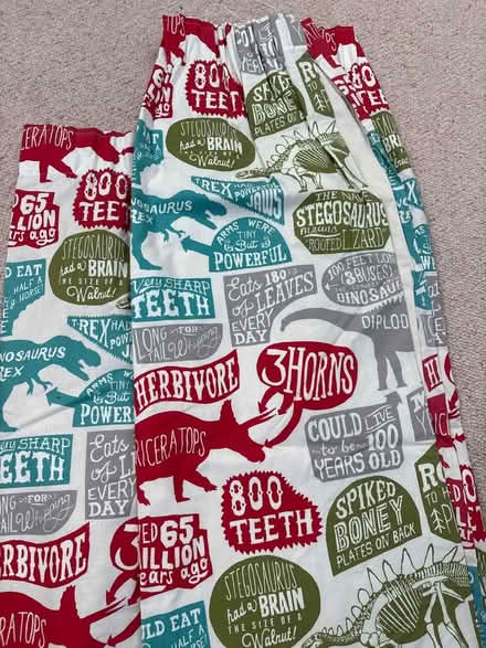 Photo of free Curtains - kids, blackout lined (M20 east didsbury) #3