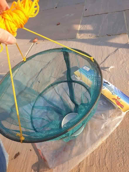 Photo of free crab-catcher net for children #1