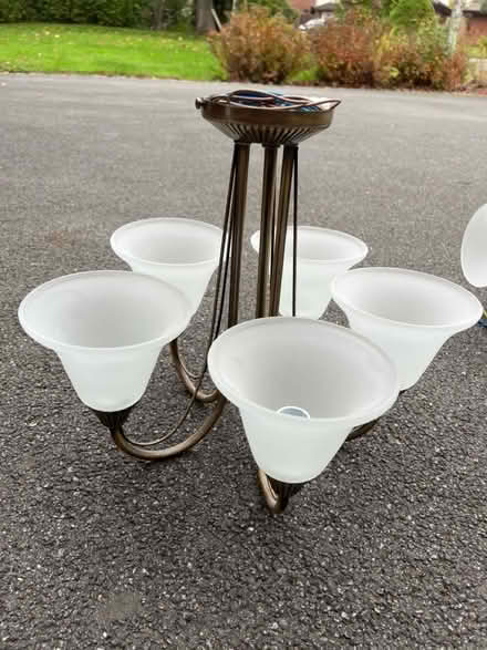 Photo of free Wall and ceiling lights (Handbridge CH4) #2