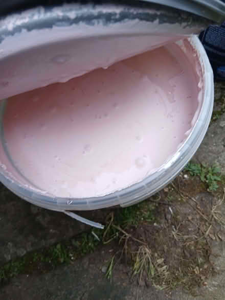 Photo of free Soft sheen pink emulsion 2.5l (Wargrave RG10) #1