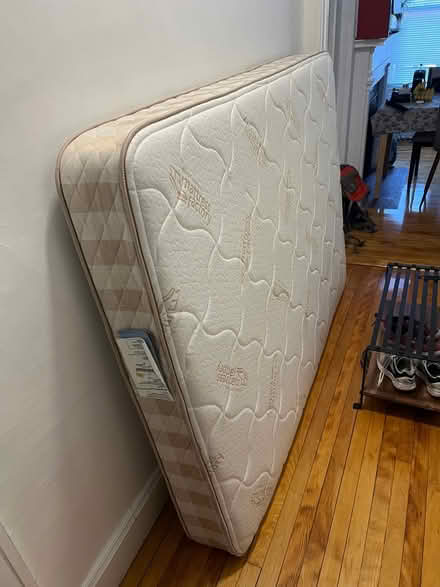 Photo of free Mattress (full size) (Cambridge near Harvard Law) #1