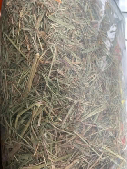 Photo of free Timothy Hay (Crag Bank LA5) #2