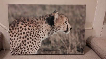 Photo of free Three canvas pictures (Caistor Park Road E15) #1