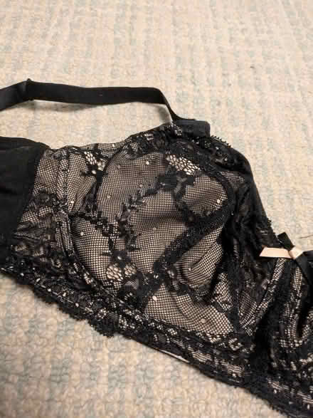 Photo of free Bra 34F Panache no under wire (Heaton) #3