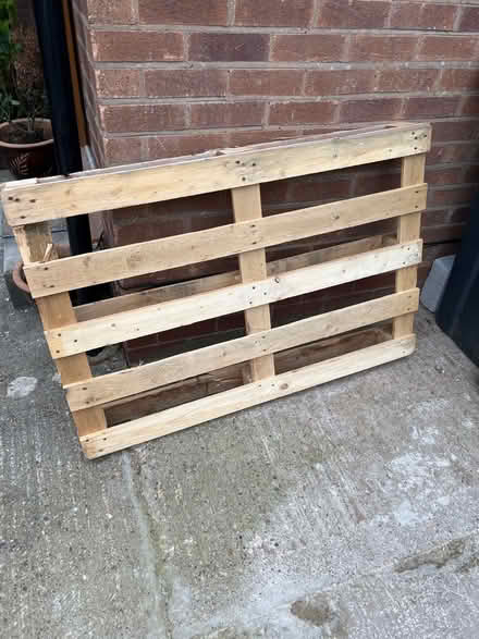 Photo of free Pallet (Stoneygate LE2) #1