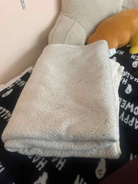 Photo of free Big white blanket (Berryessa) #1