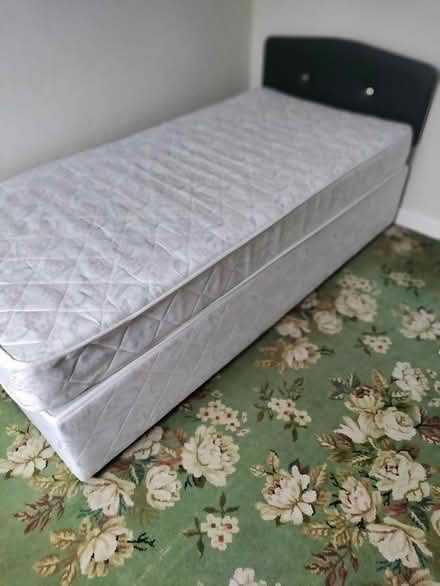 Photo of free Single Bed and Headboard (Goatstown) #1