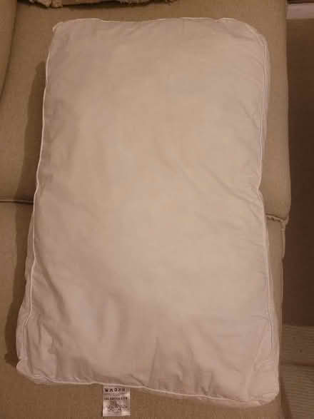 Photo of free 2 pillows (Bridge of Allan FK9) #2