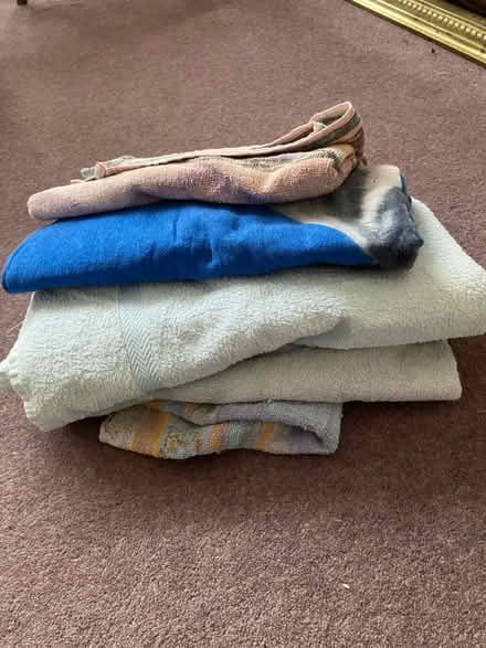 Photo of free Towels for dog beds (Parkstone, Poole. BH14.) #1