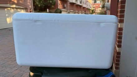 Photo of free Cooler, packing peanuts, ice packs (Clarendon metro,Arlington, VA) #2