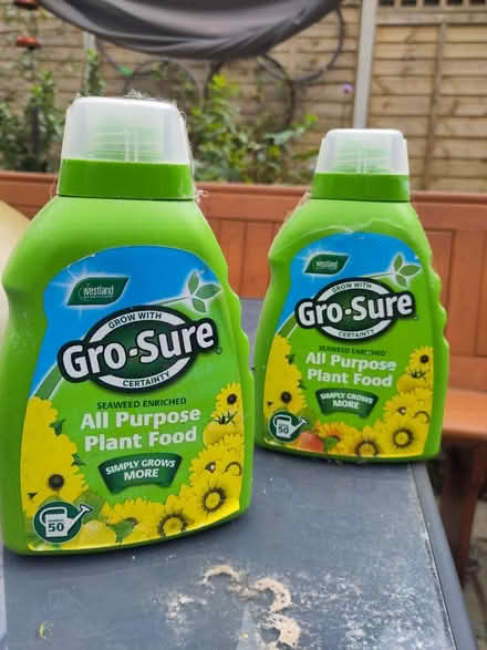 Photo of free Plant food (Bexhill old town, TN40) #1