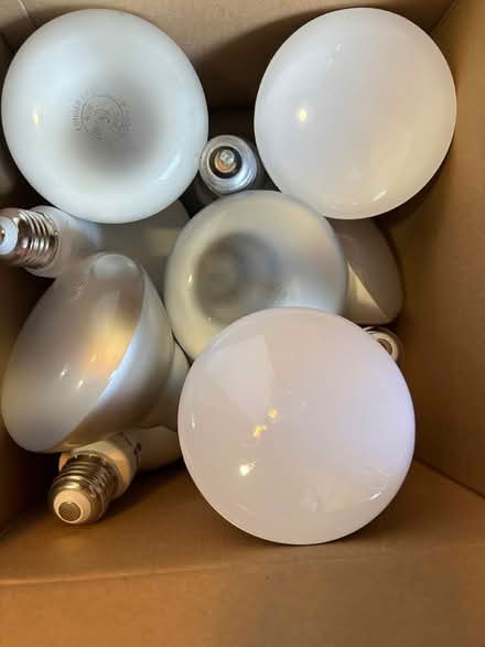 Photo of free Large light bulbs (Parole) #1