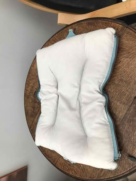 Photo of free Support Pillow (E12) #2