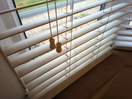 Photo of free 3x White/Cream 50mm Wooden Blinds (Saltney CH4) #2