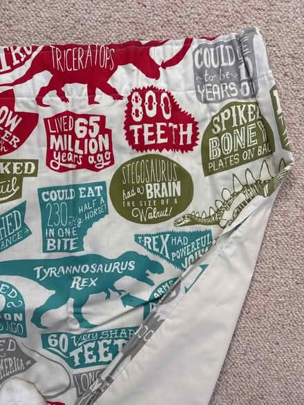 Photo of free Curtains - kids, blackout lined (M20 east didsbury) #1