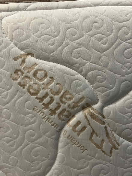 Photo of free Mattress (full size) (Cambridge near Harvard Law) #2