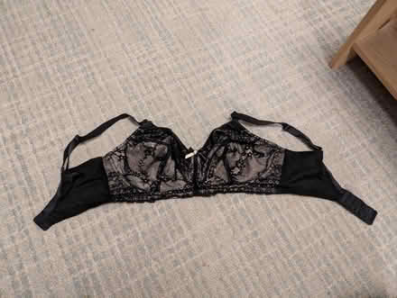 Photo of free Bra 34F Panache no under wire (Heaton) #1
