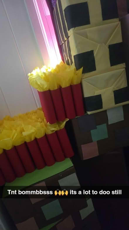 Photo of free Minecraft decorations (Des Plaines il) #1
