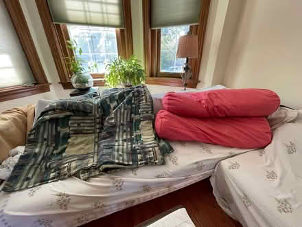 Photo of free pillows and light comforter (D St. and 6th St. NE) #1