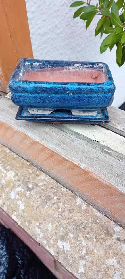 Photo of free Small Bonsai Dish and Tray (Baldock, SG7) #1