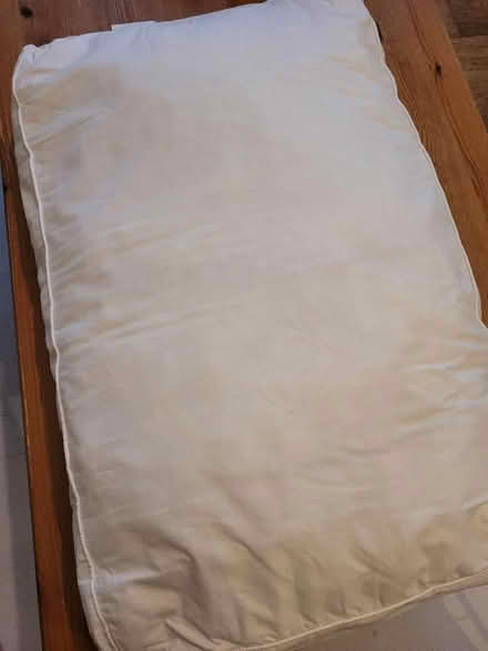 Photo of free 2 pillows (Bridge of Allan FK9) #4