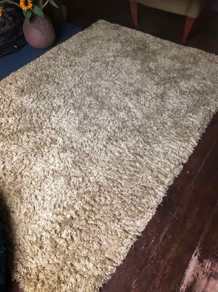 Photo of free Shaggy yellow large rug (Sprowston NR7) #1