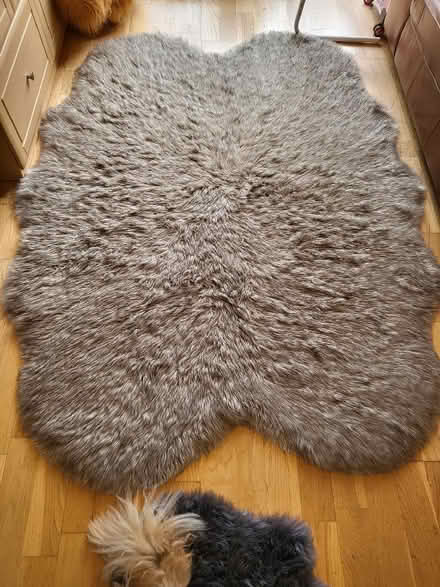 Photo of free Faux fur rug,large (Skipton BD23) #1